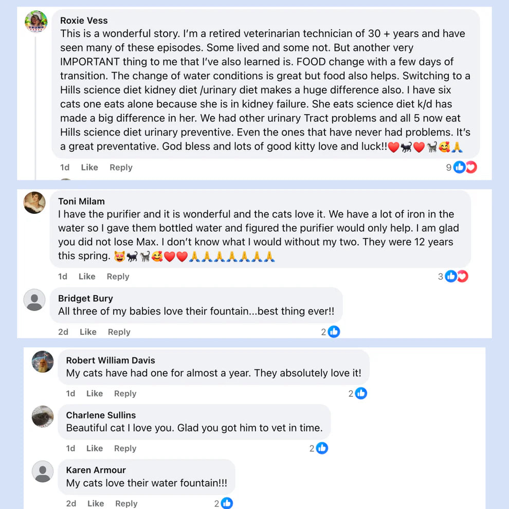 Protect your cat from dehydration and urinary emergencies with the Purrflow Fountain