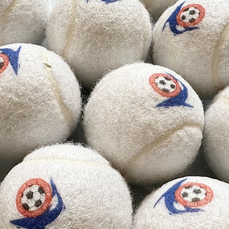 Dog Birthday Gift Customized Print LOGO Pet Logo Walk Play Tennis Pet Toy Balls