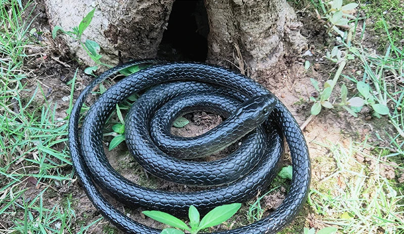Realistic Flexible Snake Toy (1.2 m) — Rubber Prank Prop & Halloween Décor