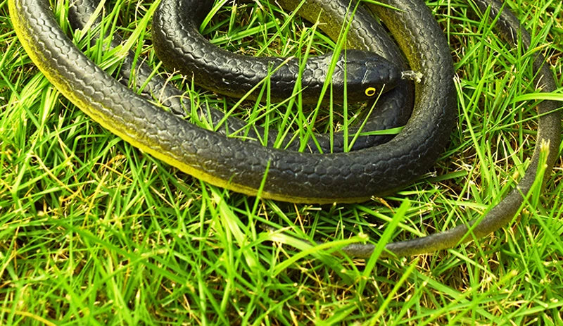 Realistic Flexible Snake Toy (1.2 m) — Rubber Prank Prop & Halloween Décor