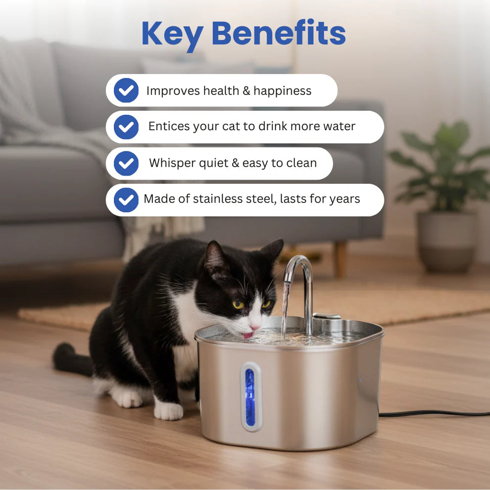 Protect your cat from dehydration and urinary emergencies with the Purrflow Fountain