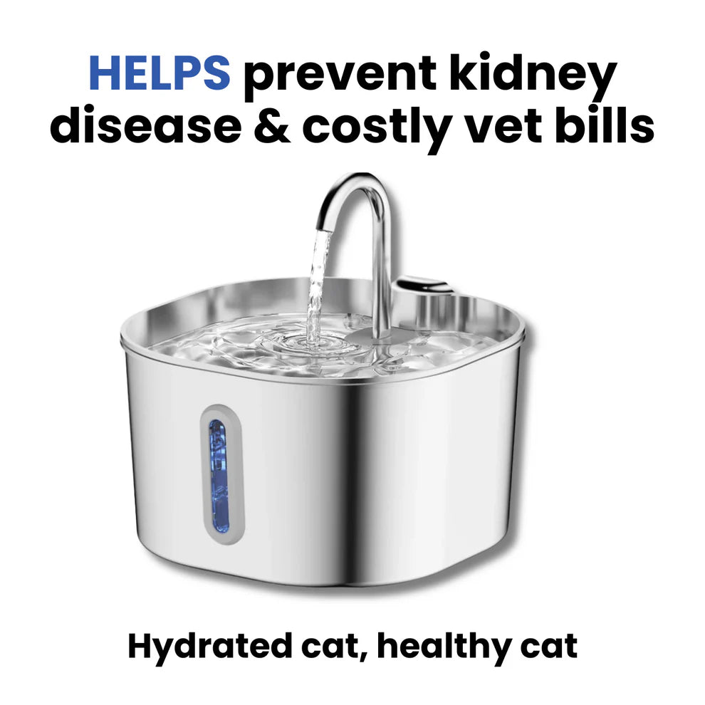 Protect your cat from dehydration and urinary emergencies with the Purrflow Fountain