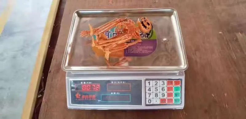 Person-Size Hanging Skeleton Prop — Poseable Full-Body Halloween Decoration & Haunted House Display