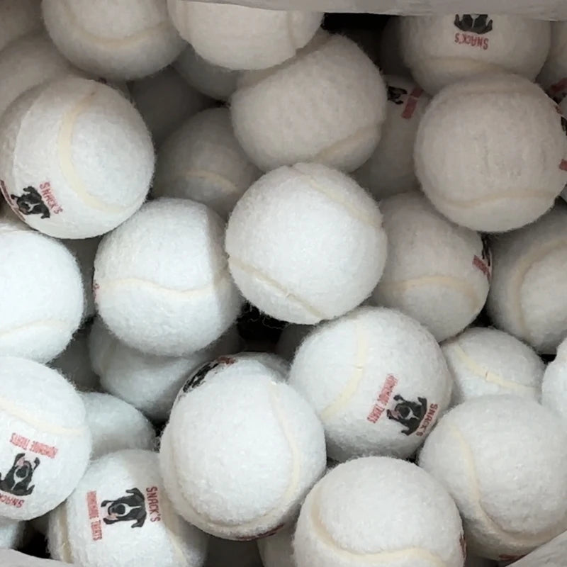 Dog Birthday Gift Customized Print LOGO Pet  Logo Walk Play Tennis Pet Toy Balls