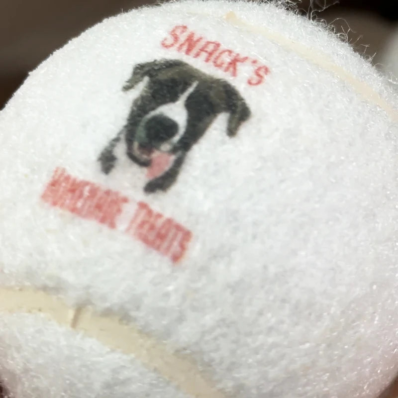 Dog Birthday Gift Customized Print LOGO Pet  Logo Walk Play Tennis Pet Toy Balls